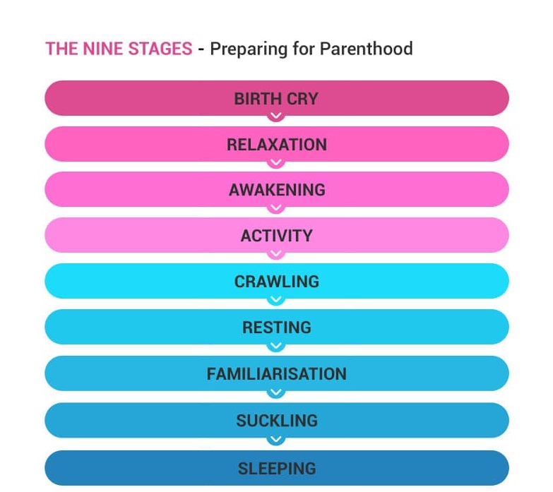 Nine stages of preparing for parenthood: birth cry, relaxation, awakening, activity, crawling, resting, familiarisation, suckling, sleeping