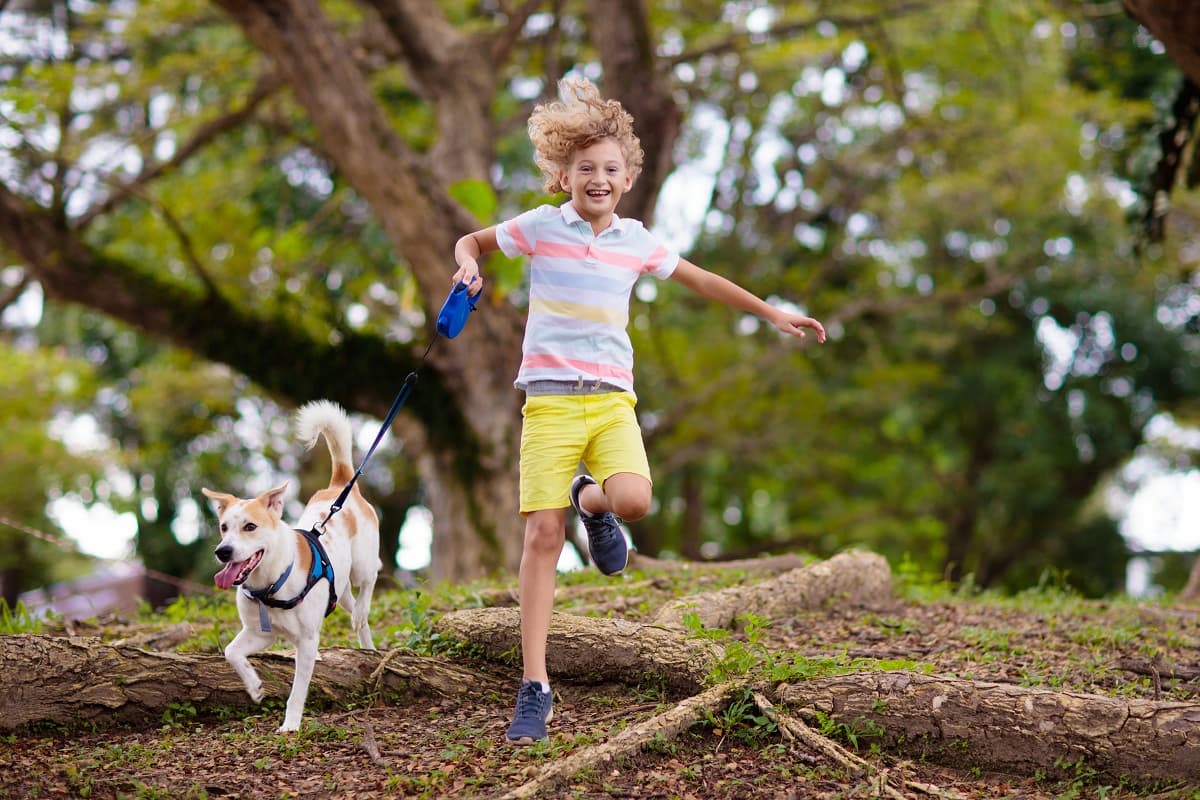 Boy running through woods with a dog on a lead