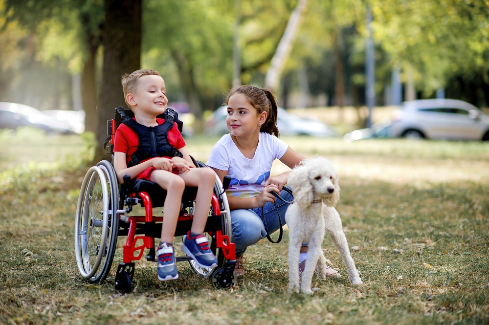 Young boy in a wheelchair and young girl in a park with their dog