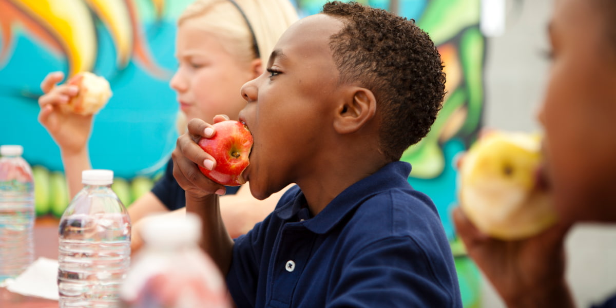 Boy eating an apple for his school dinner
