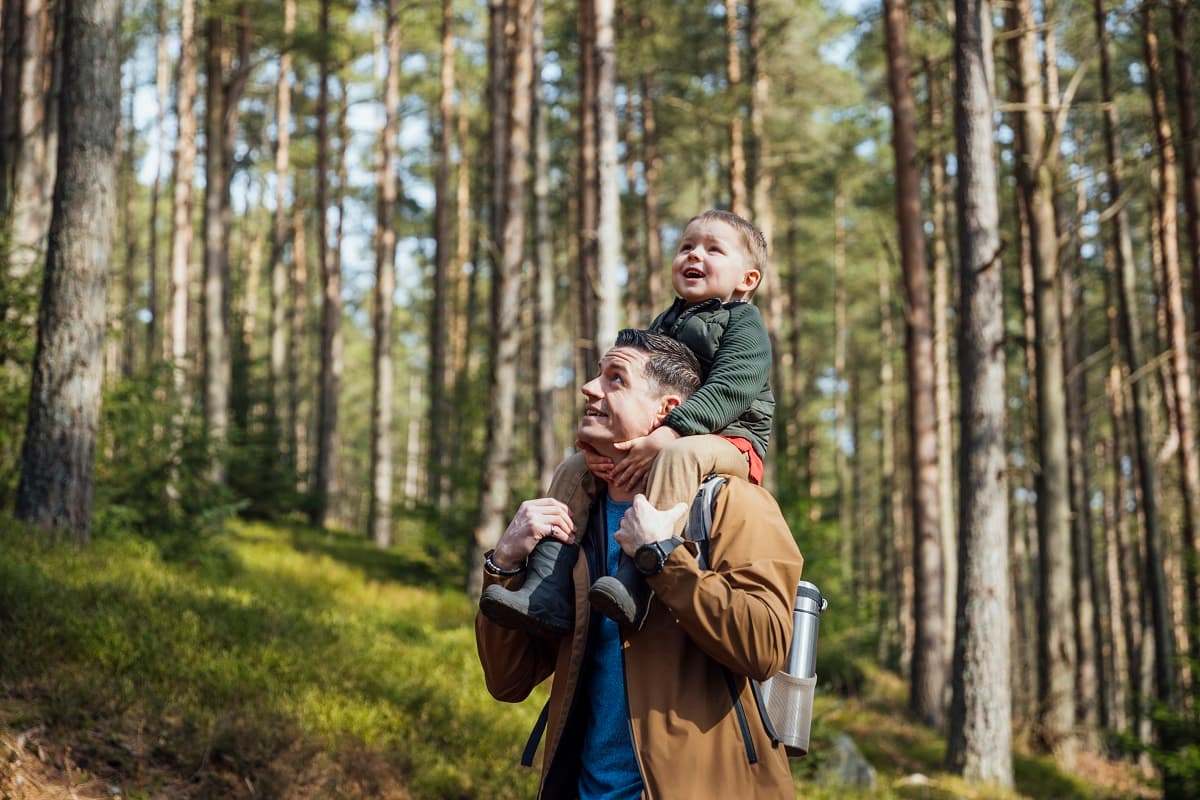 Happy toddler sitting on dad's shoulders, outdoors in a wood