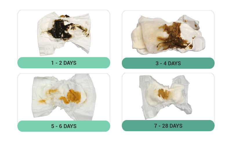 Chart showing four dirty nappies and their contents. They are labelled for different ages. 