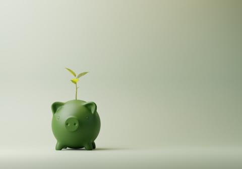 Green piggy bank with a shoot growing out of it