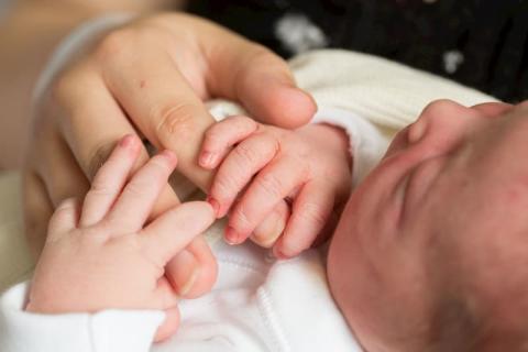 Image of a newborn baby holding an adult's hand.